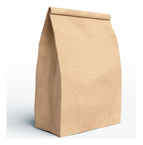 Bolsa Delivery Sobre Papel Kraft 30x40/13 N5 Sin Manija X50u