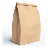 Bolsa Delivery Sobre Papel Kraft 30x40/13 N5 Sin Manija X50u