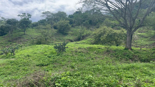 Finca Lote Barata En Venta Precio Oportunidad - Imagen 3