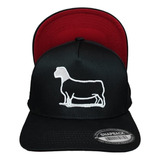 Gorra Del Borrego Snapback Premium Wiki Caps