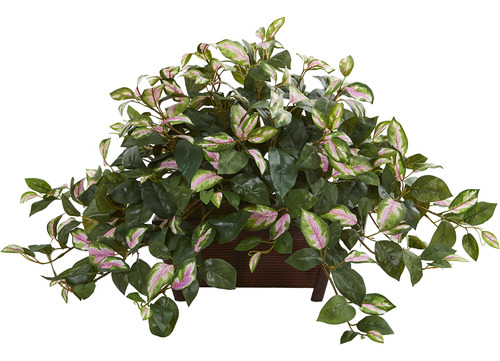 Jardinera Decorativa Artificial Hoya Casi Natural, Plantas D