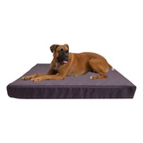 Cama Colchoneta Para Perros Lola Pets Antidesgarro 75x50 Cm