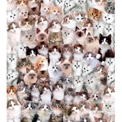 Rompecabezas 1000 Pz, Mundo De Gatos* Hao Xiang, Cat World | Envío gratis
