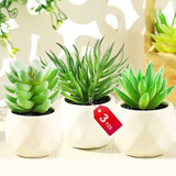 3 Pzs Planta Artificial Suculenta Decorativa Maceta Cerámica