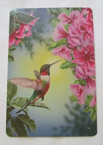 Poster Cartel Placa Colibri Decoracion Casa Jardin Habitacio