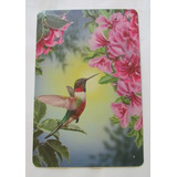 Poster Cartel Placa Colibri Decoracion Casa Jardin Habitacio