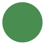Pigmento Líquido Verde Bandera Para Resina 1 Litro