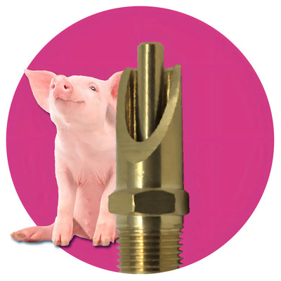 Bebedero Chupón Para Cerdos Cobre 1L Kit 5 Piezas Cobi Bebederos | Envío gratis