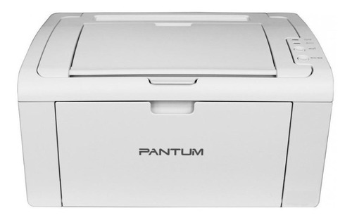 Impresora Simple Función Pantum P2509w Con Wifi Blanca 220v - 240v