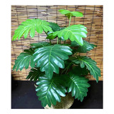 Plantas Artificiales Grandes De 70 Cm, Color Verde, Monstera