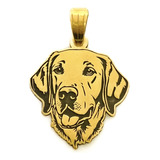 Dije Perro Labrador Mascota Oro 18k