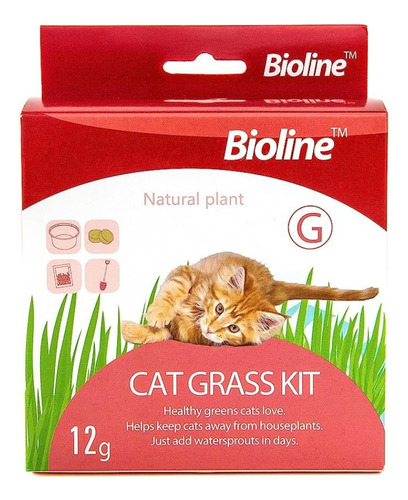 Bioline Cat Grass Kit De Siembra Hierba Gatera 12g Gatos 