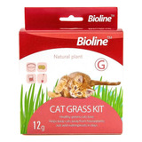 Bioline Cat Grass Kit De Siembra Hierba Gatera 12g Gatos 