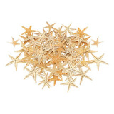 Decoración De Estrella Mar Natural Para 1-5cm 100 Piezas