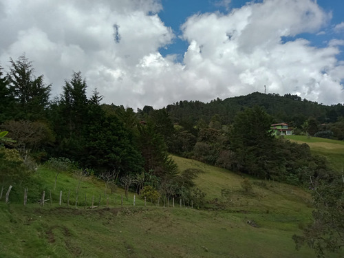 Venta Lote En Alto De Las Palmas Muy Cerca Al Peaje Con Casa Campesina - Imagen 2