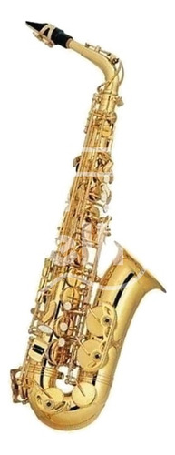 Saxo Alto + Pie + Estuche + Correa - Parquer Custom 