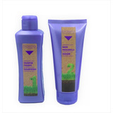 Salerm Kit Grapeology Biokera Uva Shampoo Y Mascarilla