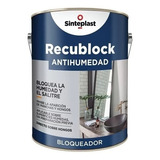 Pintura Antihumedad Bloqueador Latex Antihongo Recublock 1l