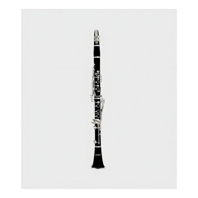 Clarinete Century Sib Ebonite 17 Llaves Níquel Estuche Cncl001 | Meses sin interés