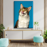 Cuadro Canva Decorativo Maine Coon Gato 90x60 Cm