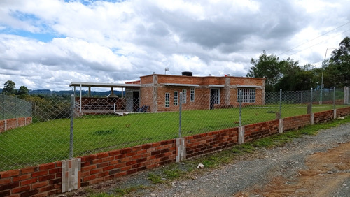 Venta De Parcela En Altos De La Colina (vereda Florencia)