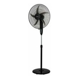 Ventilador De Pie 20'' Everest | L20 | 95w | Negro