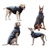 Chaleco Chamarra Impermeable Para Perros Medianos Y Grandes