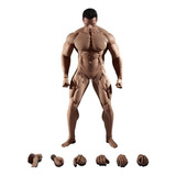 Tableague Phiken 1/6 Cuerpo Musculoso Masculino Fuerte Y Sin