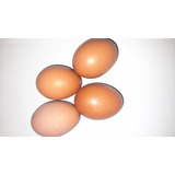Huevos De Gallinas 100% Al Aire Libre,30 Piezas