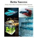 Betta Success Doing What It Takes To Keep Bettas Healthy Lon