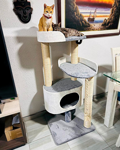 Gimnasio Mueble Para Gatos + 2 Obsequios 