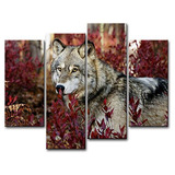 Cuadro Lobo Bosque Decoración Mod.(canvas)