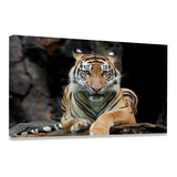 Quadro Decorativo Em Tela Sala Quarto Tigre Animal Selvagem Cor Preto Cor Da Armação Borda Infinita