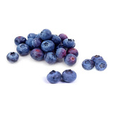 Planta De Blue Berry Mora Azul Highbush Blueberry Con Envio