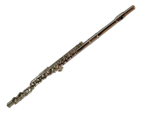 Flauta Traversa Con Estuche Rowell Ywfl-558
