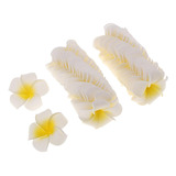 Arreglos Florales 5cm Blanco