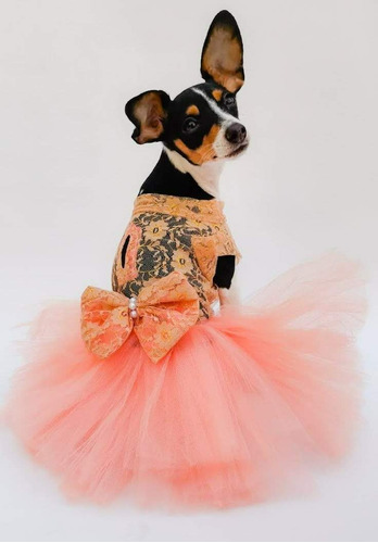 Vestidos De Tull Para Mascotas, Pequeño