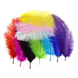 Plumas De Avestruz 35-40cm, 2 Piezas