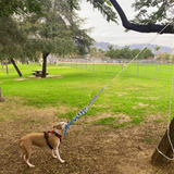 Juguete De Cuerda De Perro Con Poste De Primavera, Juguete F