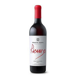 Vino Tinto Mexicano Monte Xanic Gran Ricardo 750ml