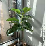 Planta Artificial Hoja Grande Con Maceta 70 Cms