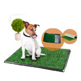 Bandeja Sanitaria Baño Mascotas Pet Cesped Perros 42 X 42