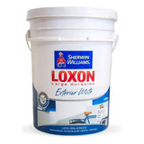 Loxon Pintura Latex Exterior Blanco 20 L Serrentino