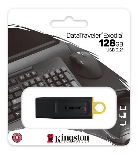 Kingston 128 Gb De Sonido Express