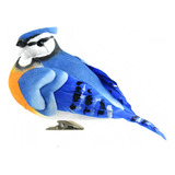 20129 Blue Jay, 5 Pulgadas