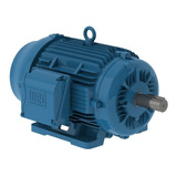 Motor Weg 5 Hp 1150 Rpm 6 Polos 220/440v Eficiencia Premium