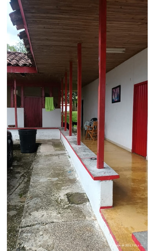 Venta Finca En Produccion Platano Y Aguacate Ulloa - Valle - Imagen 2