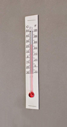 Little Giant Incubator - Termómetro De Temperatura Para Inte