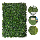 Placa De Grama 40x60 Com Buchinhos Verdes Paredes Kit 40 Uni