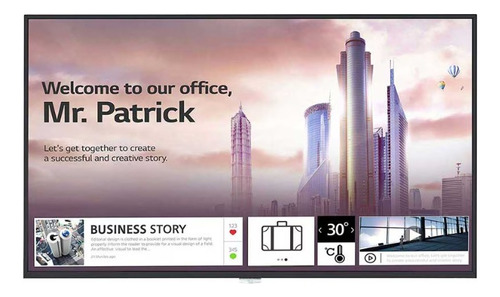 Pantalla Comercial LG Uh5f-h 49´´ (usado En Perfecto Estado)